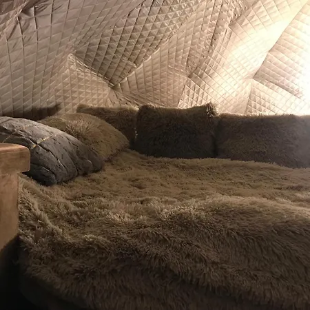 Queen Design Tiny & Spa